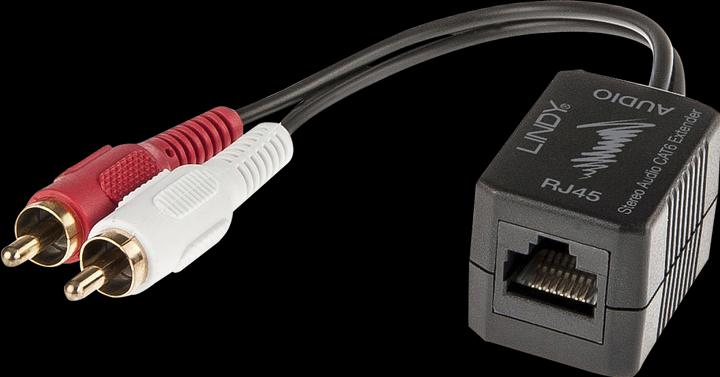 Image du produit Lindy Cat.5/6 100m 2x RCA (Rallonge)