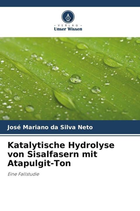 Actual product image Katalytische Hydrolyse von Sisalfasern mit Atapulgit-Ton (José Mariano da Silva Neto, 2024)