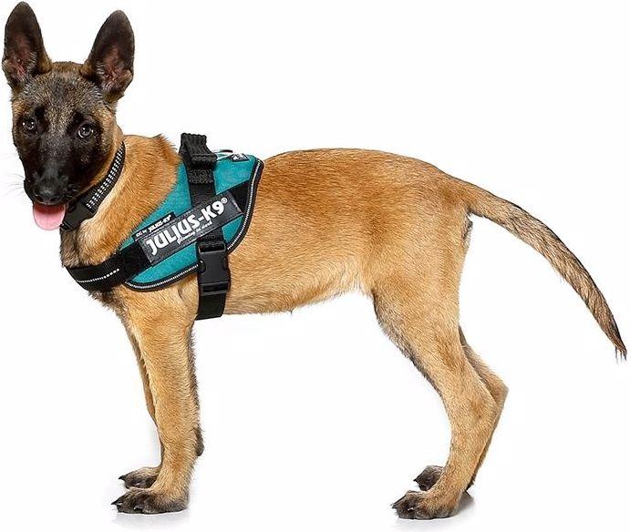 Actual product image Julius-K9 Idc (2, Dog, Dog sport, Jogging, Walks, Work)