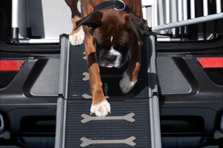 Actual product image 4pets Easy-Steps (Dog, Foldable)