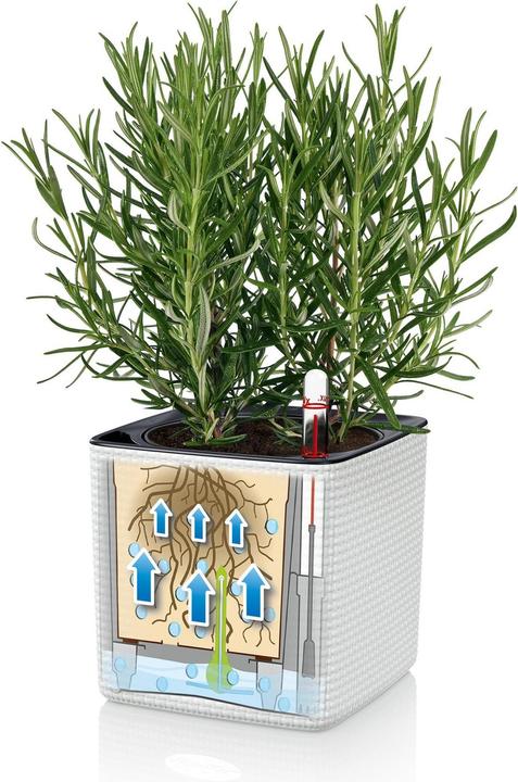 Produktbild Lechuza Green Wall Home Kit (15 cm)