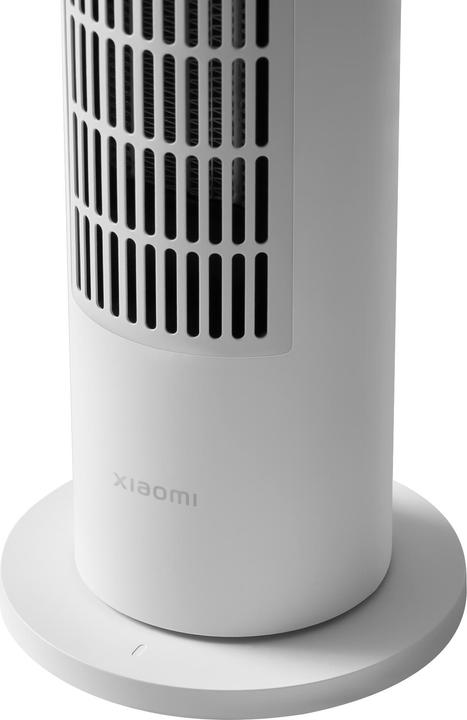 Actual product image Xiaomi Mi BHR6101EU (2000 W)