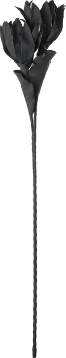Immagine prodotto EGLO LIVING Molave (90 cm)