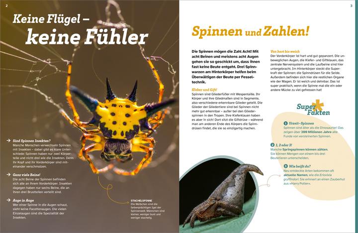 Immagine prodotto Tessloff WAS IST WAS Spinnen. Akrobaten auf acht Beinen (Tedesco, Inga Marie Ramcke, 2024)