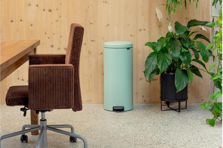 Actual product image Brabantia newIcon (30 l)