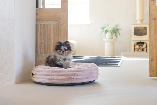 Actual product image Designed by Lotte Reza reclining cushion (Dog)