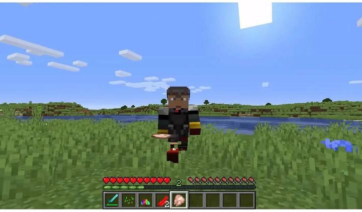 Actual product image Nintendo Minecraft (Switch, Multilingual)