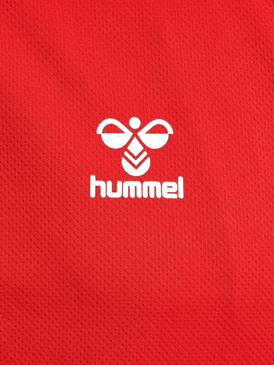 Actual product image hummel Hmlauthentic Pl Zip Jacket (L)