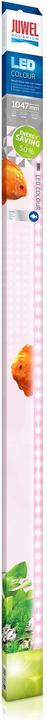 Image du produit Juwel Aquarium LED couleur (LED, 29 W)