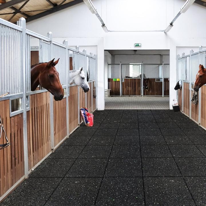 Immagine prodotto Floordirekt Stallboden (125 x 250 cm)