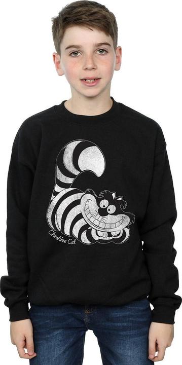 Image du produit Disney Sweatshirt pour garçons (116)