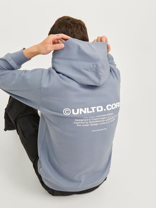 Image du produit Jack & Jones Jcoaero Print Sweat Hood Noos (XXL)