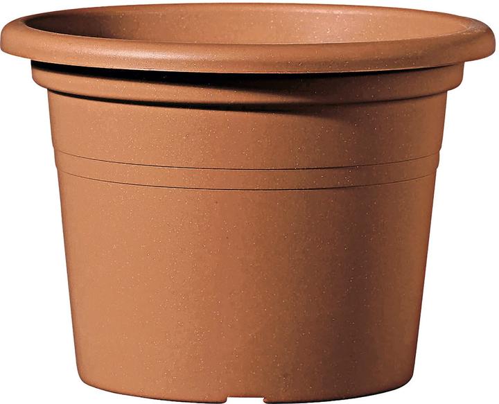 Image du produit Deroma Day R (15 cm)