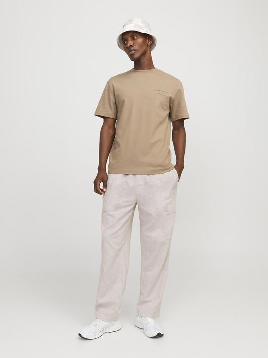 Actual product image Jack & Jones Jpstkarl Jjsummer Cargo Sn Styd (S)