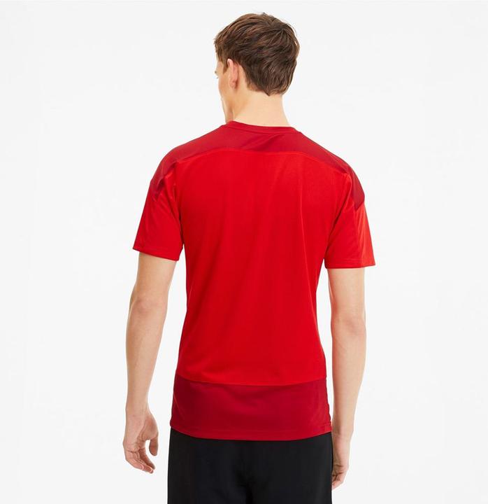 Actual product image Puma teamGOAL 23 Training Jersey-656482 (L)