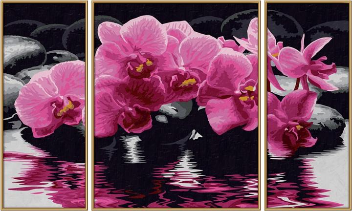 Image du produit Schipper Peinture par numéros - Orchidées