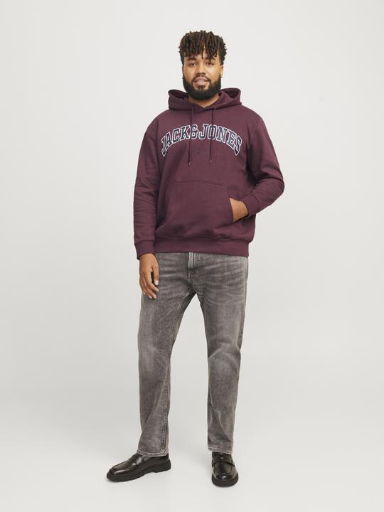 Produktbild Jack & Jones Jjecaleb Varsity Sweat Hood Noos Pls (3XL)