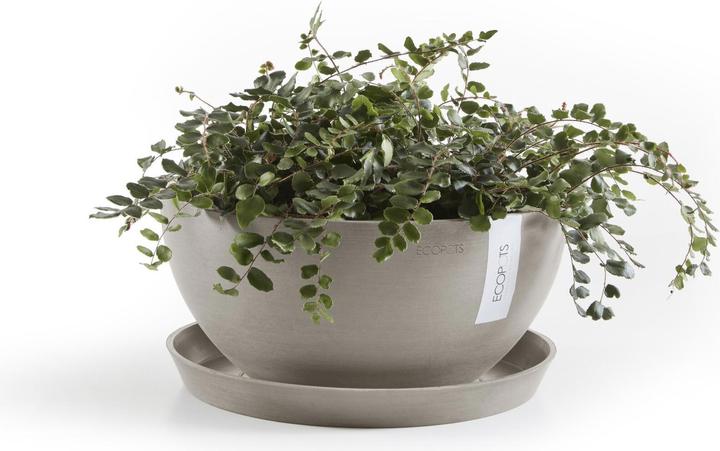 Actual product image Ecopots Saucer round 21