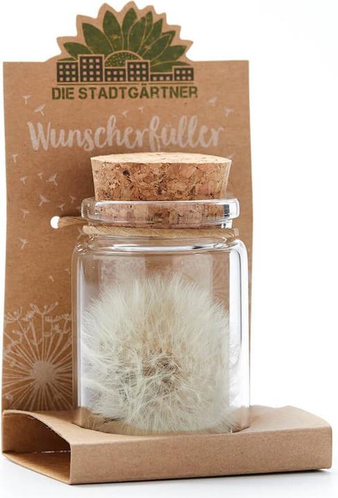 Actual product image Natura Punto Dandelion (Ø 4 x 8 cm)