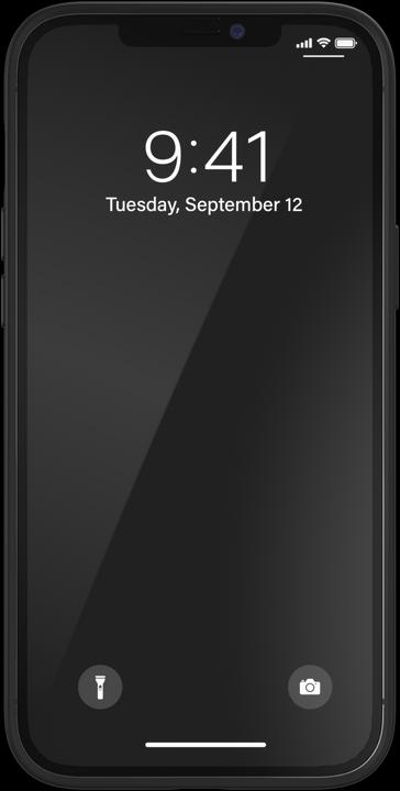 Actual product image Superdry Moulded Case Canvas (Apple iPhone 12 Pro Max)