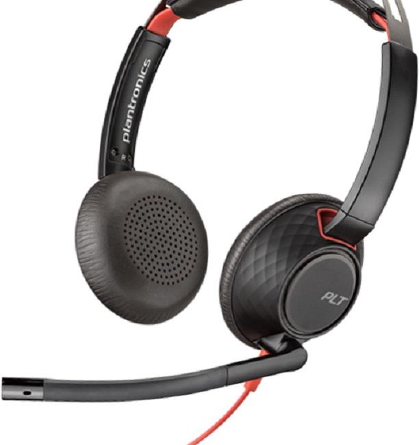 Immagine prodotto Poly DUPLIKAT Blackwire 5220 (Cablato, USB-A)