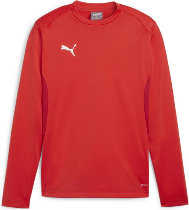 Puma teamGOAL Training Sweat
