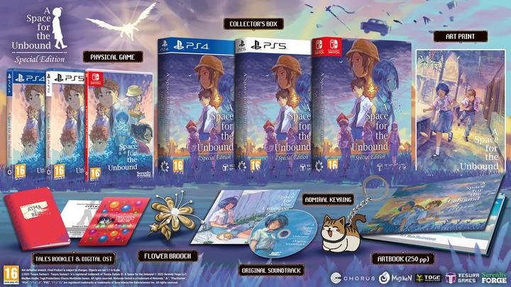 Image du produit Softsource Un espace pour l'inédit -Asia- (Switch, Switch Lite, Switch OLED)