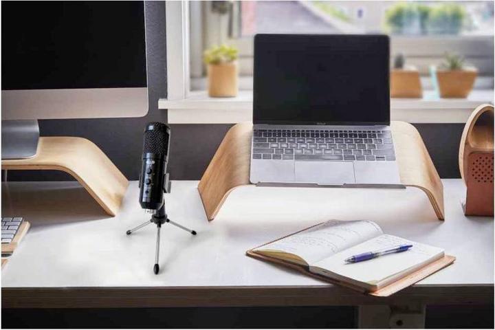 Actual product image CAD Speech Microphone U49 USB Mic