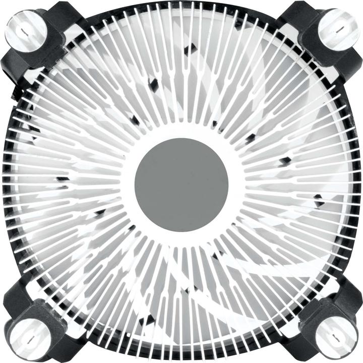 Actual product image Arctic Alpine 17 LP (55 mm)