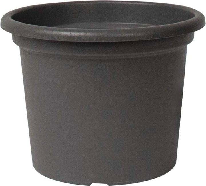 Charcoal