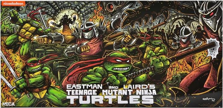 Actual product image Neca Teenage Mutant Ninja Turtles