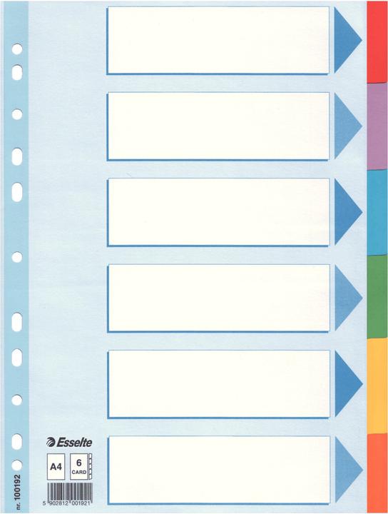 Esselte Registra il cartone