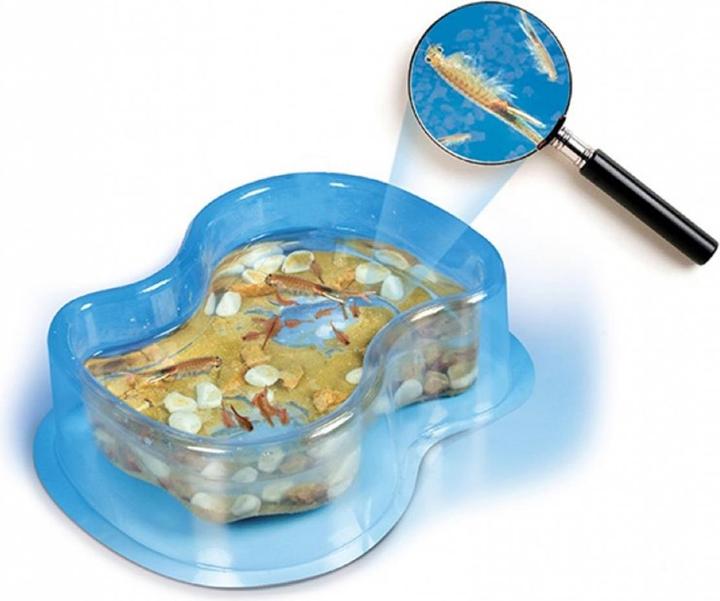 Actual product image Clementoni Galileo: This is how you grow sea monkeys