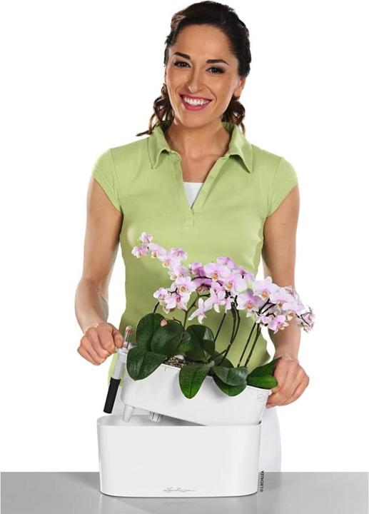 Actual product image Lechuza Delta (11 cm)