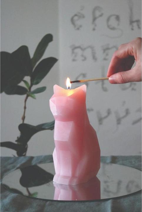 Immagine prodotto 54Celsius PyroPet Kisa (1 pz.)