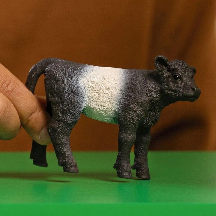 Actual product image Schleich Galloway calf