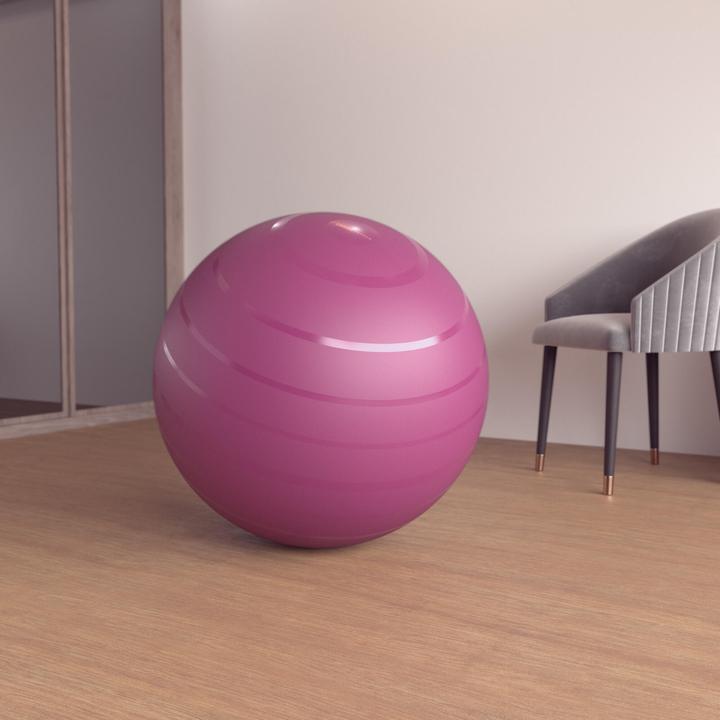 Actual product image Domyos SWISS BALL BASIC LARGE L 328575