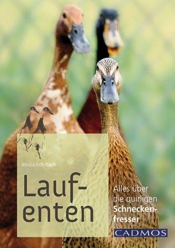 Actual product image Laufenten (German, Jessica pipe brook, 2014)