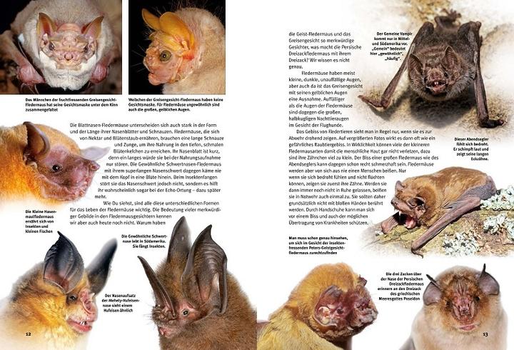 Immagine prodotto Scopri i pipistrelli (Tedesco, Eckhard Grimmberger, 2022)
