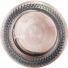 Actual product image Postquam nail polish pearly beige (Pearl Beige, Colour paint)