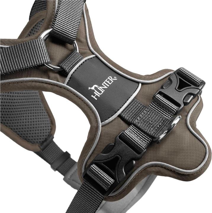 Actual product image Hunter Divo (XL, Dog, General)
