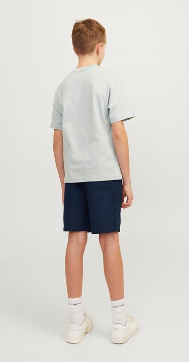 Image du produit Jack & Jones Jpstjaiden Jjpalma Seersucker Shor Jnr (170)