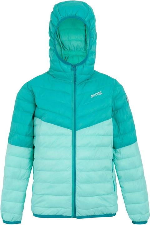 Immagine prodotto Regatta Hillpack III Giacca con Cappuccio Bambini (170, 176)