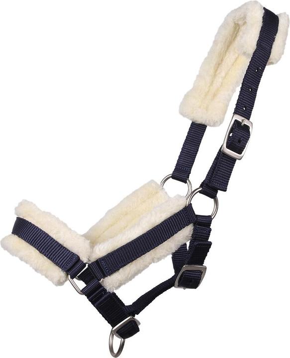 Actual product image Qhp Halter for foal with fur