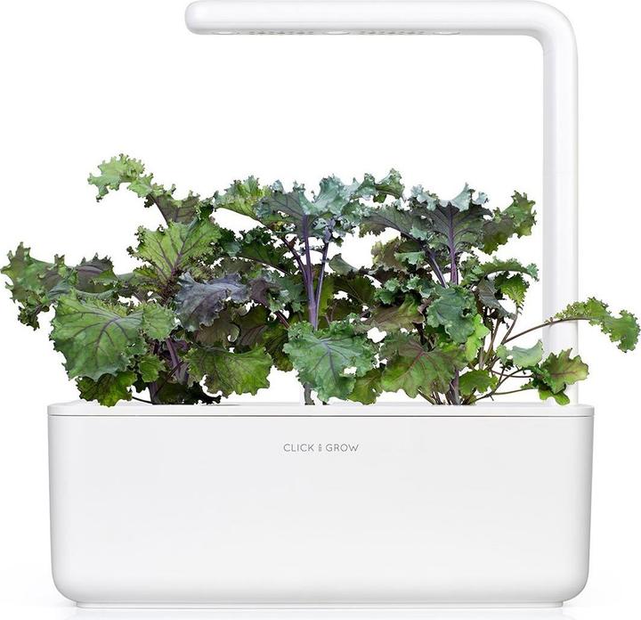 Actual product image Click and Grow Red cabbage (Vegetable seeds)