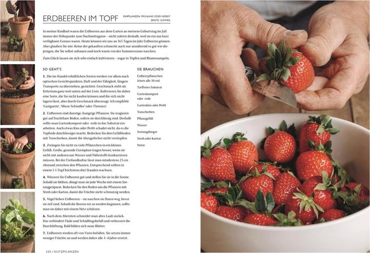 Produktbild Das Gartenbuch (Deutsch, Monty Don, 2024)