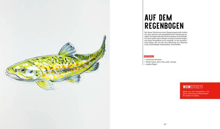 Image du produit Tiere zeichnen (2 Bücher im Bundle)