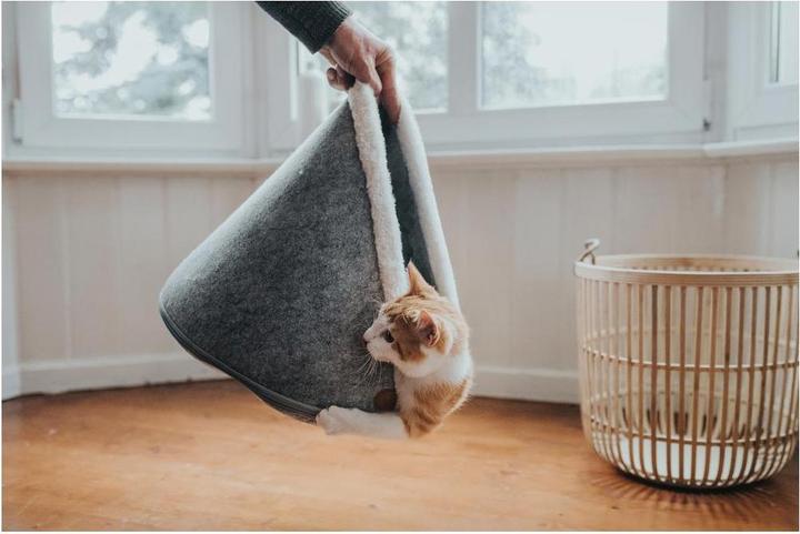 Immagine prodotto Hunter Gatto grotta Skive (Cane)