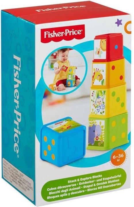 Actual product image Fisher-Price Stack & Explore Blocks