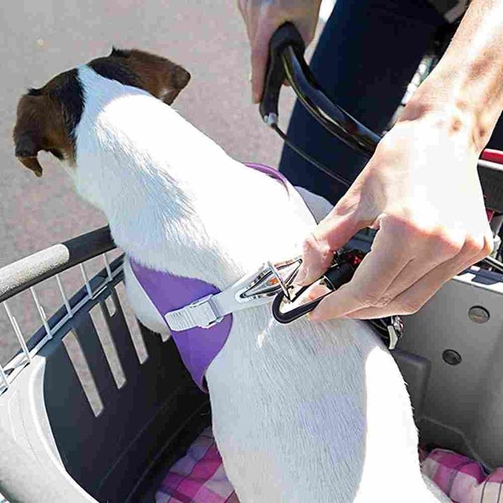Actual product image Ferplast Atlas Bike 20 Rapid (Dog, Lockable)